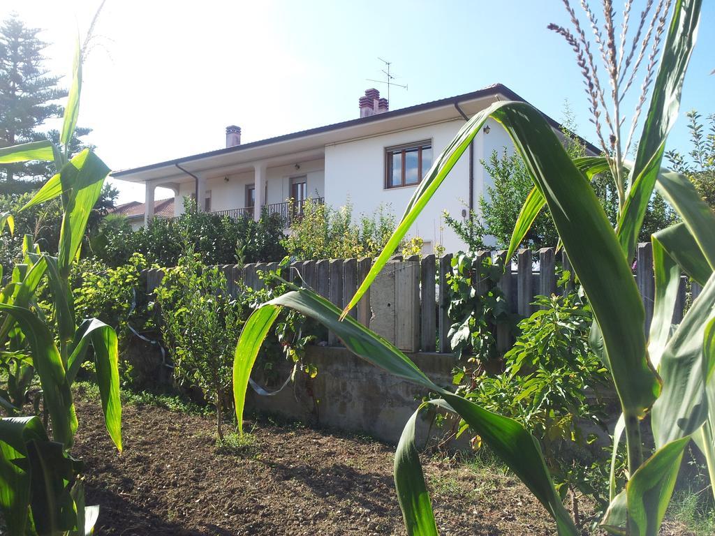 B&B La Casa Di Angelica Roseto Degli Abruzzi Exteriér fotografie